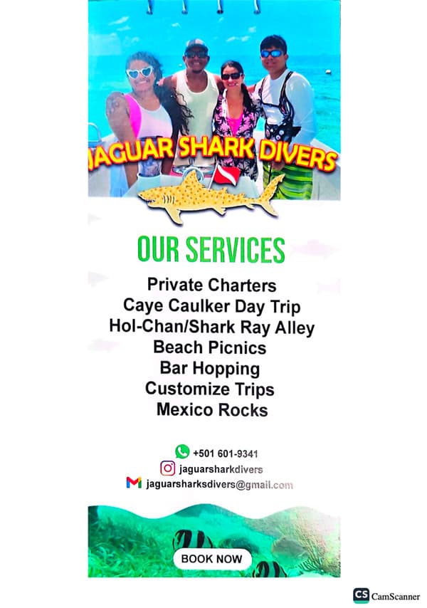 A group of divers poses by the ocean, promoting the services of Jaguar Shark Divers.